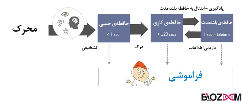 Cognitive-load-theory فرآیند یادگیری و ارتباط آن با مکانیسم حافظه