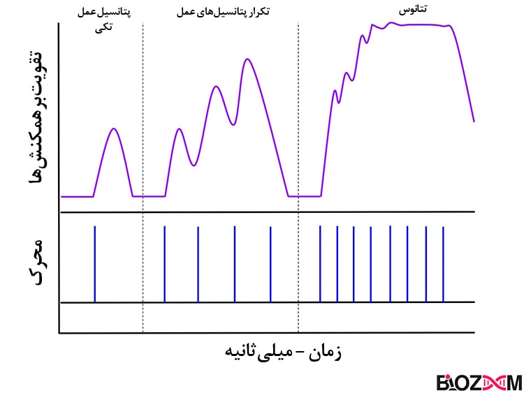 Neuro-tetanus تتانوس عصبی