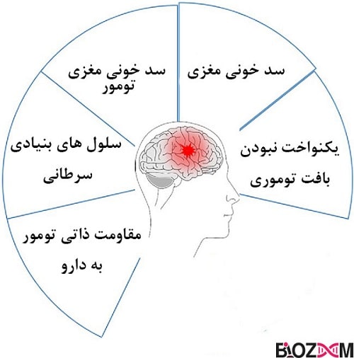 Reasons-for-therapeutic-resistance-to-brain-tumors دلایل مقاومت درمانی تومور مغزی