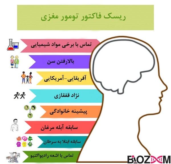 risk-factors-of-brain-tumor عوامل خطر شکلی گیری تومور مغزی