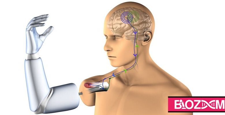 غذا خوردن مرد نیمه معلول با استفاده از بازوهای رباتیک متصل به مغز
