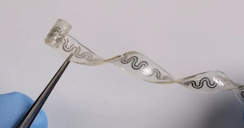 implant made from biodegradable materials chills nerves to 10°C ساخت ایمپلنتی که با خنک کردن عصب ها درد را کاهش میدهد