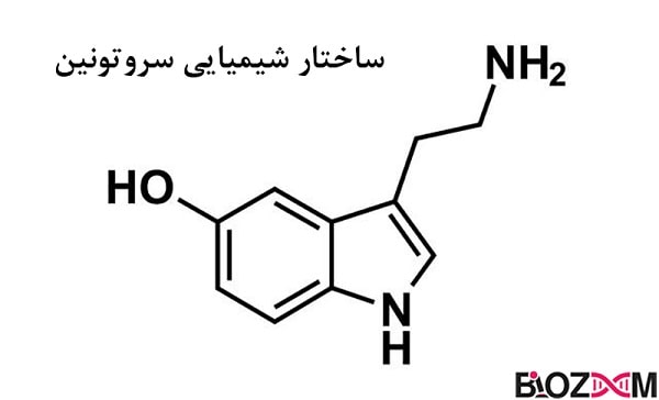 serotonin-neurotransmitter-chemical-structure ساختار شیمیایی نوروترانسمیتر سروتونین