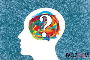 نقش گلوتامات در حافظه و یادگیری