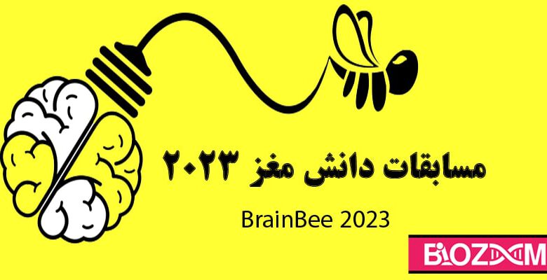 مسابقه دانش مغز 2023 – نهمین دوره مسابقات دانش مغز - برین بی 1401-1402