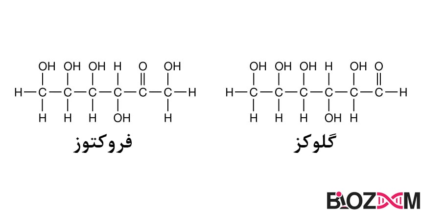 ساختار اصلی و پایه‌ی همه‌ی کربوهیدرات‌ها از زنجیره‌های هیدروکربنی به همراه اکسیژن تشکیل شده است