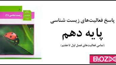 جواب فعالیت های زیست دهم