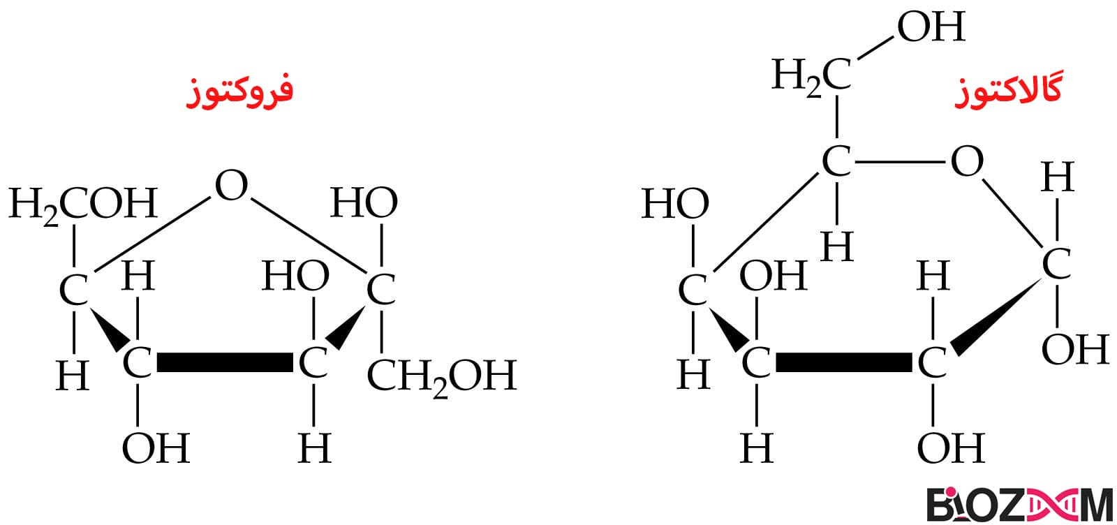 ساختار شیمیایی فروکتوز و گالاکتوز