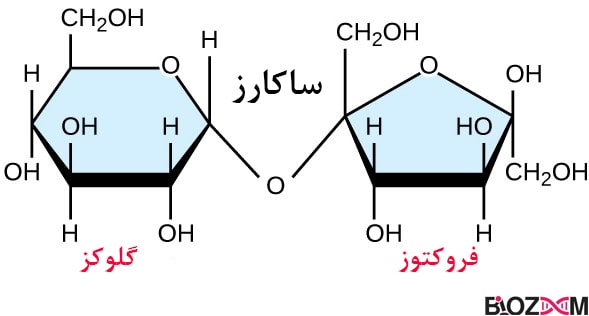 ساختار شیمیایی ساکارز