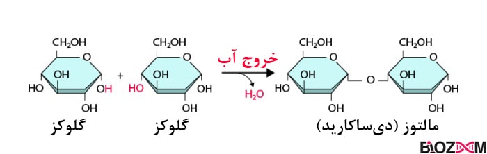 در سنتز آبدهی یک گروه OH از یک مولکول با گروه H از مولکولی دیگر، پیوند برقرار کرده و به صورت یک مولکول آب خارج می‌شود.