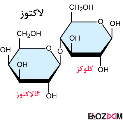 ساختار شیمیایی لاکتوز