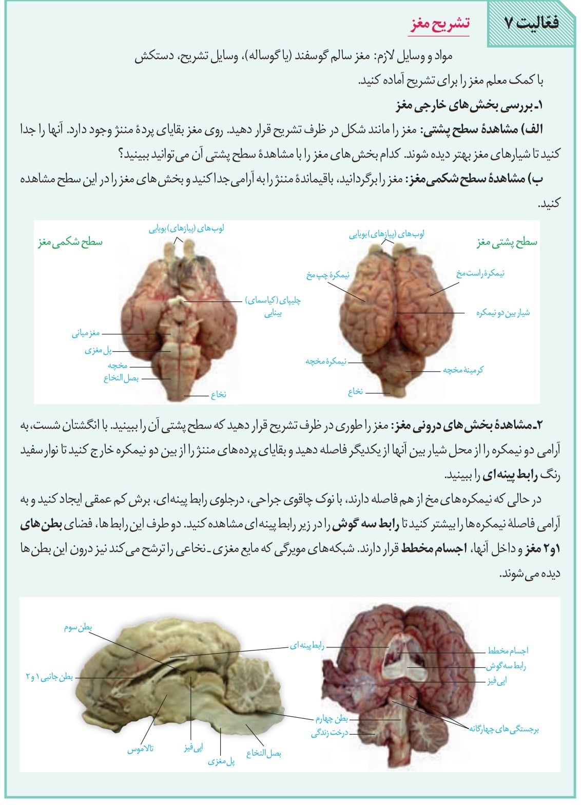 Biology11-season1-answeractivities-page14 جواب فعالیت فصل اول صفحه 14 و 15 زیست یازدهم