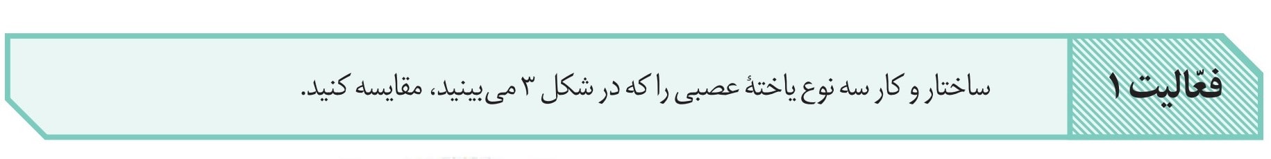 Biology11-season1-answeractivities-page3 جواب فعالیت فصل اول صفحه 3 زیست یازدهم