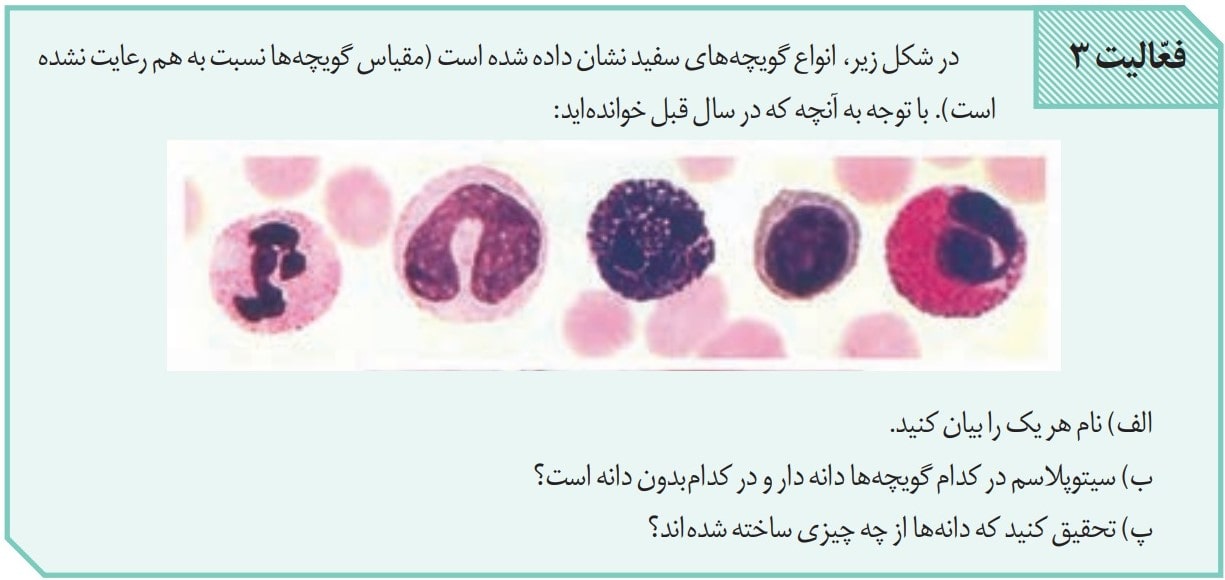 Biology11-season5-answeractivities-page68