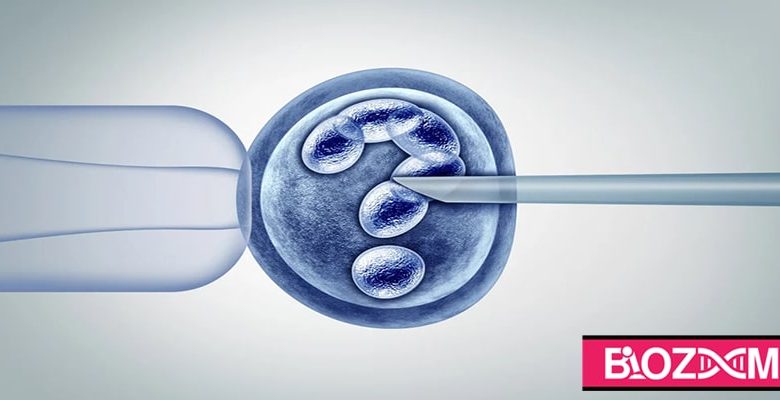 اولین نوزاد انگلیسی توسط روش جدید IVF با سه DNA متولد شد