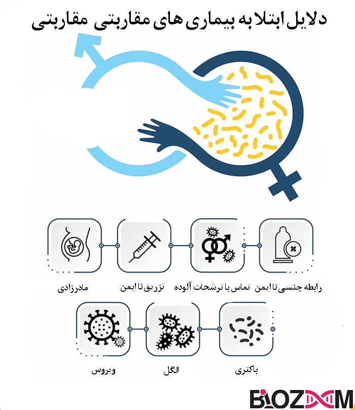 اینفوگراف دلایل ابتلا به بیماری‌های مقاربتی