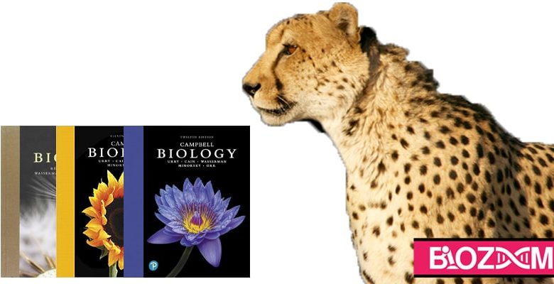کتاب بیولوژی کمپبل مرجع عمومی زیست شناسی است