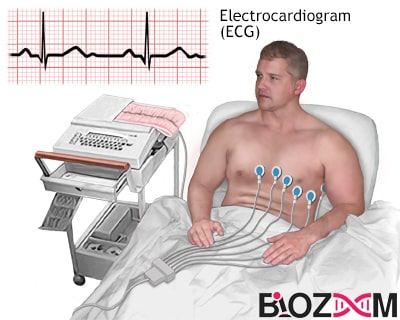 Electrocardiography process عملیات الکتروکاردیوگرافی یک فرآیند غیرتهاجمی بوده و تحت هیچ شرایطی به بدن فرد آسیب نمیرساند