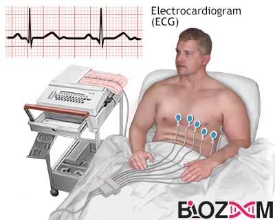 عملیات الکتروکاردیوگرافی یک فرآیند غیرتهاجمی بوده و تحت هیچ شرایطی به بدن فرد آسیب نمی‌رساند