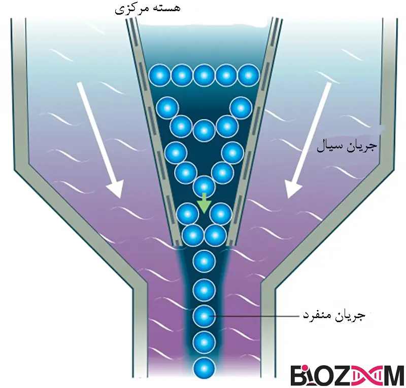 flow cytometry system تصویر تمرکز هیدرودینامیکی در تکنیک فلوسایتومتری