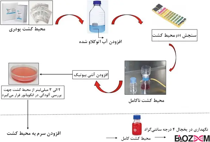 Cell culture media مراحل تهیهی محیط کشت سلولی