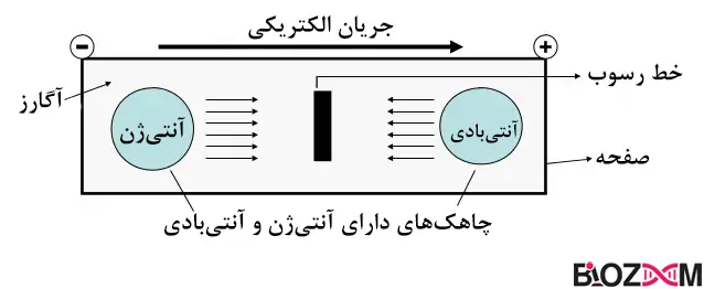 Immunoelectrophoresis تصویر ایمونوالکتروفورز