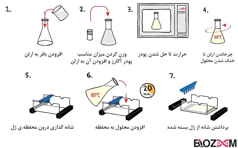 Pour an agarose gel تصویر مراحل آماده سازی ژل آگارز