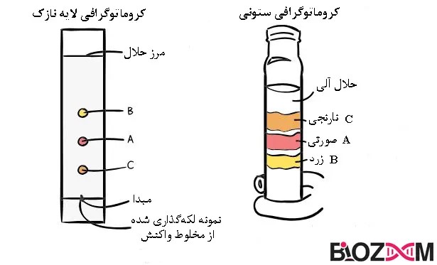 TLC and Column chromatography کروماتوگرافی لایه نازک و ستونی