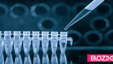 PCR چیست