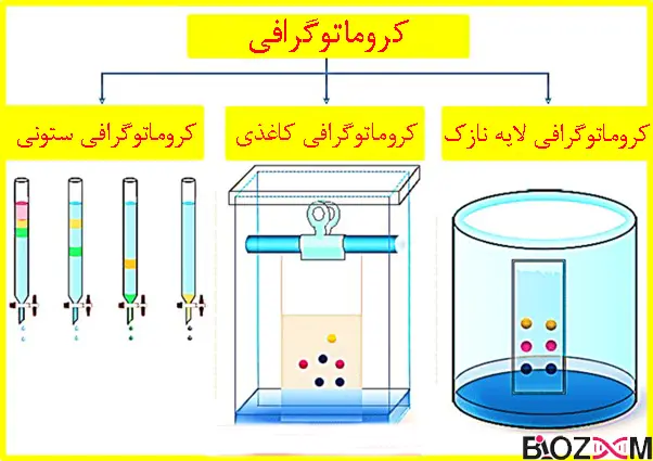 chromatography types تکنیک کروماتوگرافی ستونی، کاغذی و لایهنازک