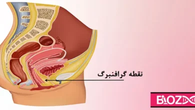 نقطه گرافنبرگ