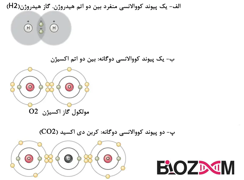 Covalent bond تصویر پیوند کووالانسی