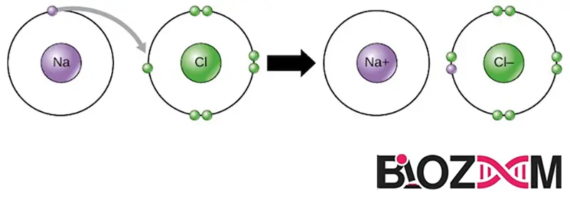 The process of sodium and chloride ion formation فرآیند تشکیل یون سدیم و کلرید