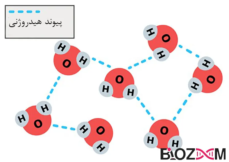 hydrogen bond پیوند هیدروژنی نوعی از پیوندهای شیمیایی
