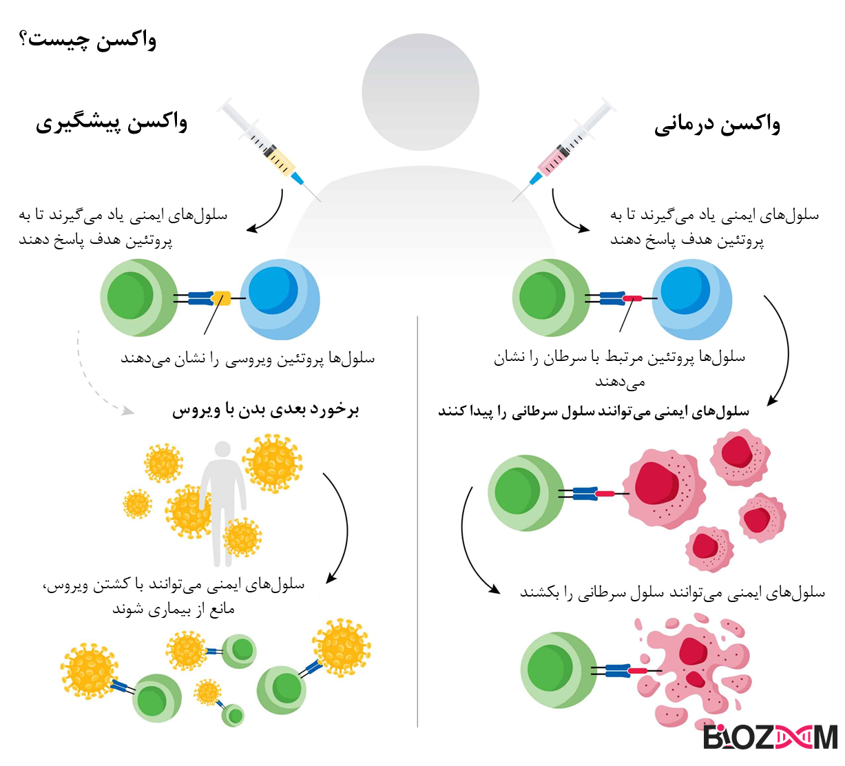 What is a cancer treatment vaccine and how is it different from preventive vaccines واکسن درمان سرطان چیست و با واکسنهای پیشگیری چه فرقی دارد؟