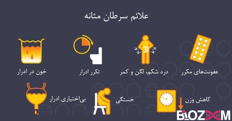 signs of bladder cancer شماتیک علائم سرطان مثانه
