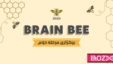 نتایج دومین مرحله از یازدهمین دوره مسابقات برین بی در ایران منتشر شد