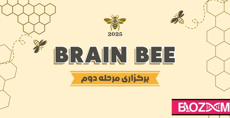 نتایج دومین مرحله از یازدهمین دوره مسابقات برین بی در ایران منتشر شد