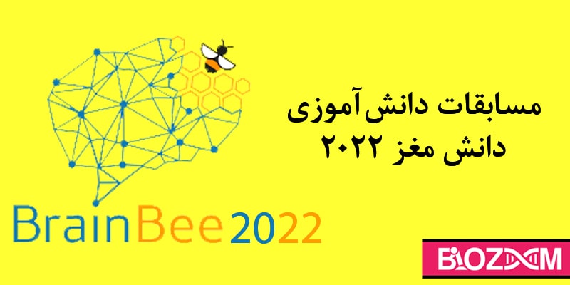 مسابقات دانش مغز 2022