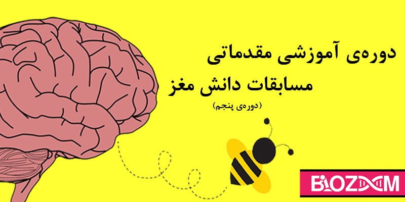 دوره پنجم آموزش مقدماتی مسابقات دانش مغز