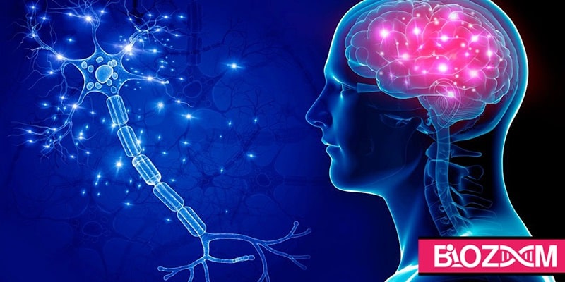 بیماری هانتینگتون