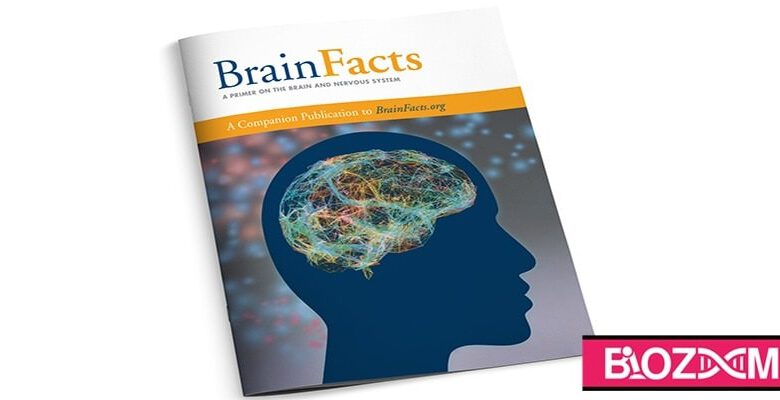 brain-facts-book-780x400