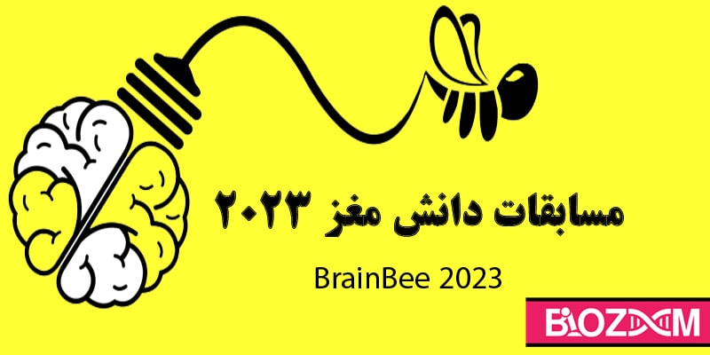مسابقه دانش مغز 2023 – نهمین دوره مسابقات دانش مغز - برین بی 1401-1402