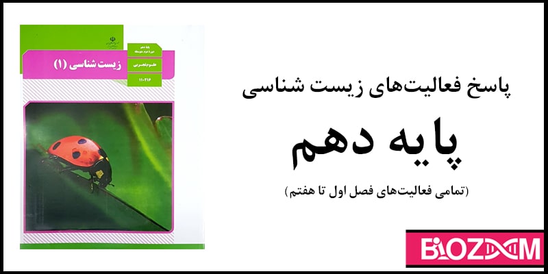 جواب فعالیت های زیست دهم