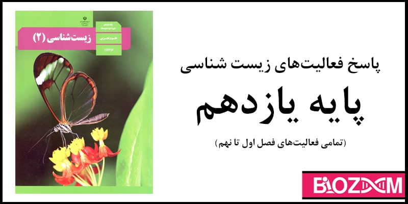 جواب فعالیت های زیست یازدهم