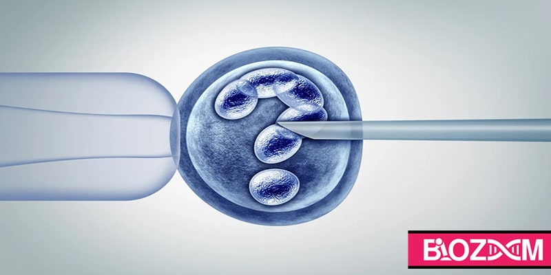 اولین نوزاد انگلیسی توسط روش جدید IVF با سه DNA متولد شد