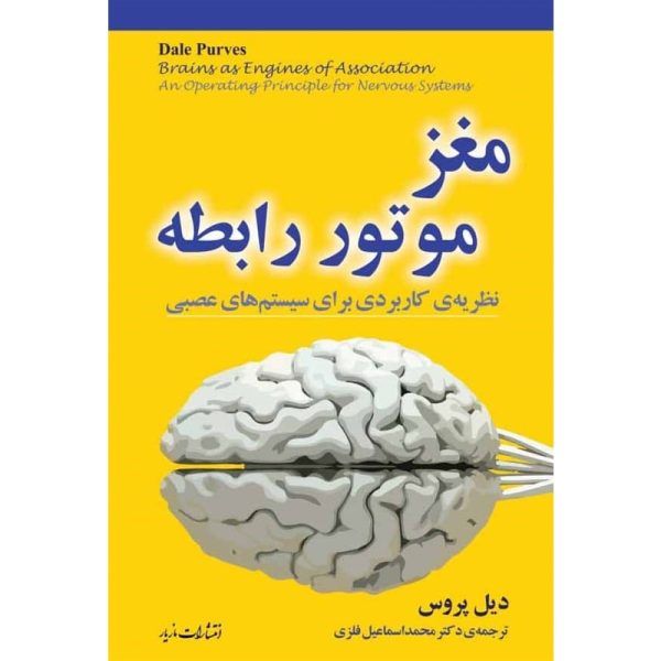 خرید کتاب مغز: موتور رابطه