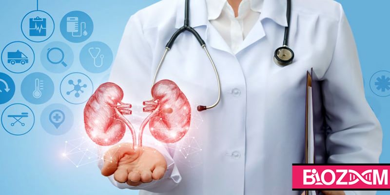 دستگاه دفع ادرار سیستمی است که وظیفه اصلی آن تصفیه خون و حفظ فشار اسمزی بدن است