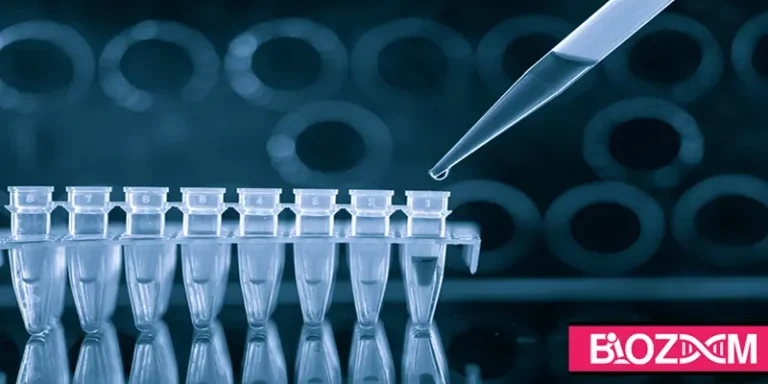 PCR چیست