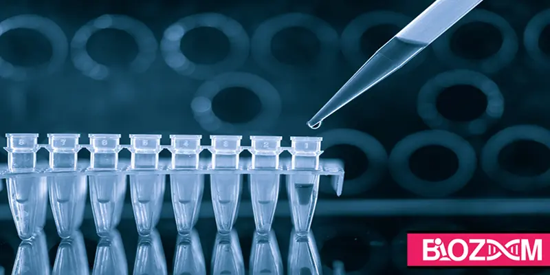 PCR چیست